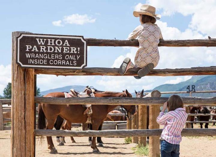 Child sitting on fence looking at horses