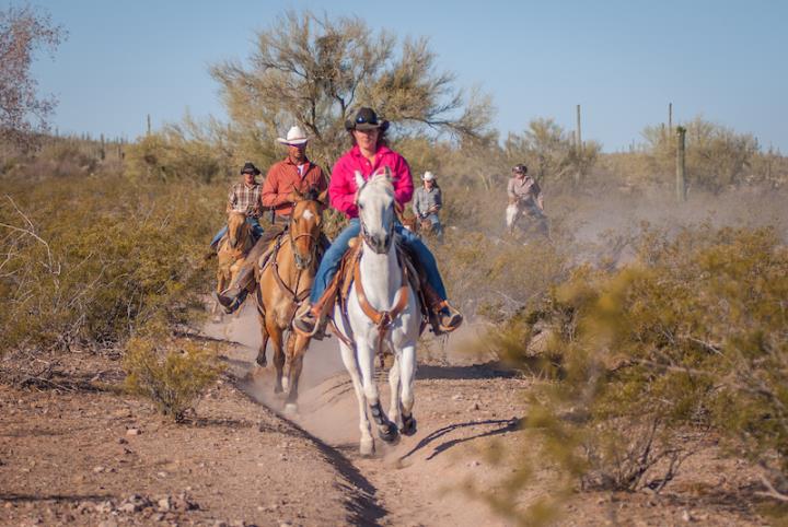Horses and riders galloping through a desert