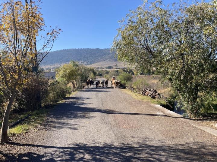 What Is A Dude Ranch Vacation? A Beginner's Guide To Visiting Cowboy Country
