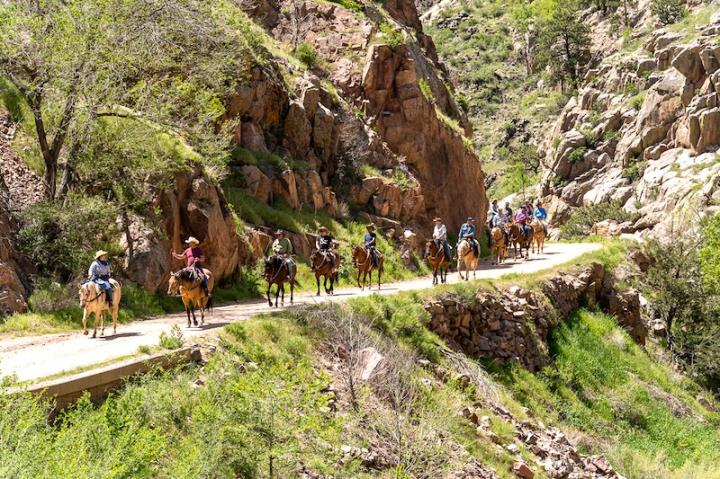 Find Your Dream Ranch Vacation Fast With Ranchweb's New Travel Planning Features!
