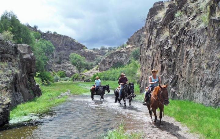The Ultimate Guide For Travel Advisors Booking Ranch Vacations