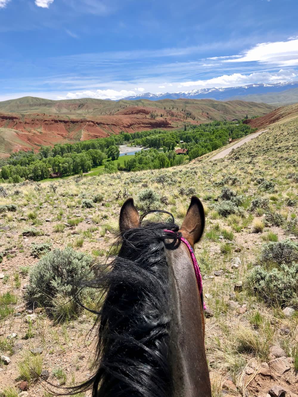 Lazy L&B Ranch, Dubois, Wyoming (landscape)