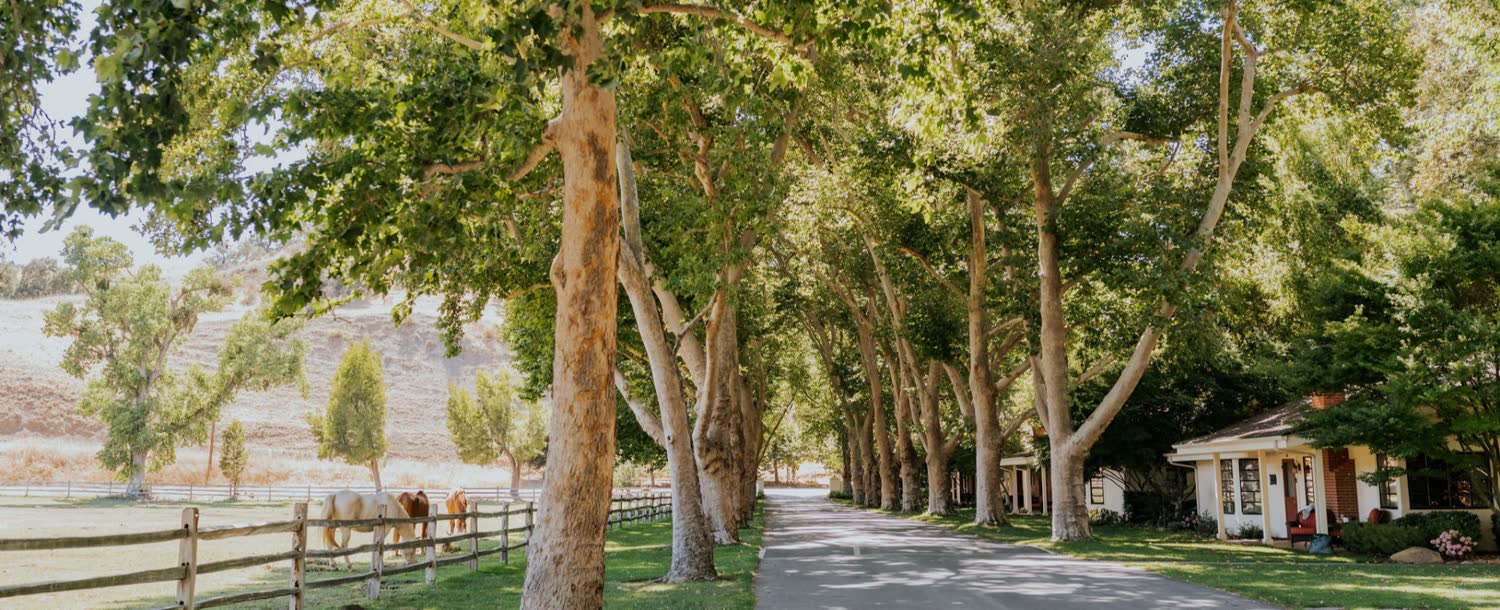 Alisal Ranch, Solvang, California