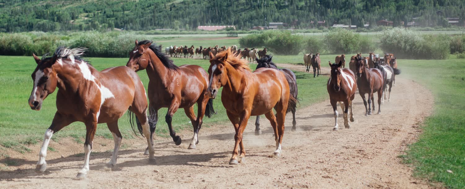 C Lazy U Ranch, Granby, Colorado