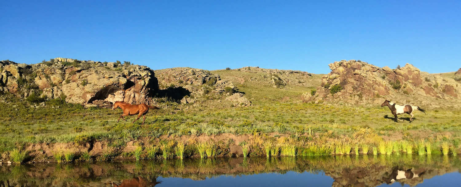 Badger Creek Ranch, Salida, Colorado