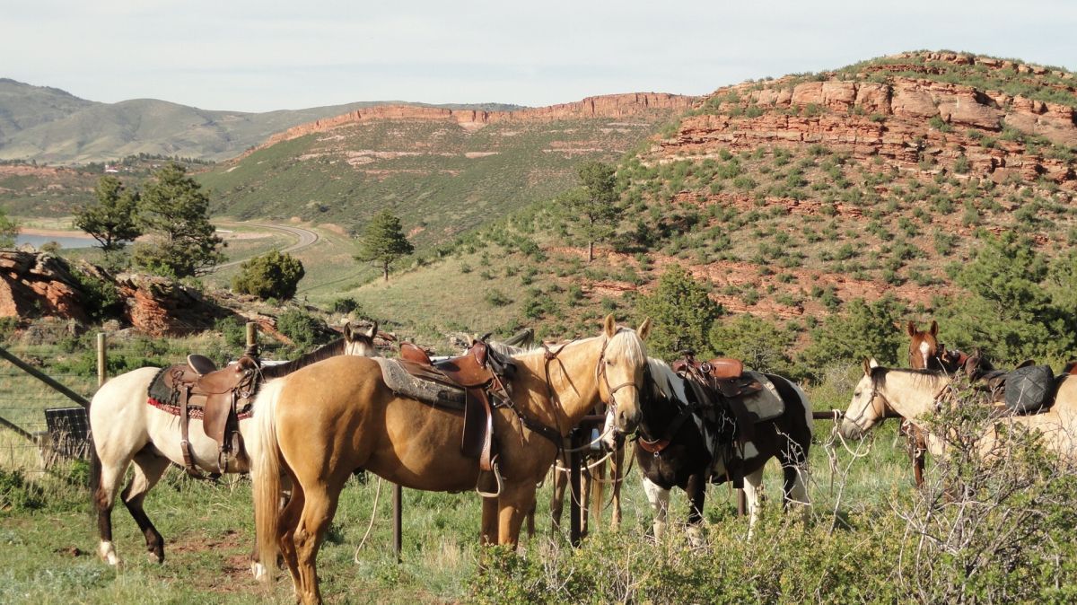 Sylvan Dale Guest Ranch, Loveland, Colorado (landscape)